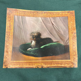 Limited Edition Affenpinscher Museum of the Dog Sweatshirt