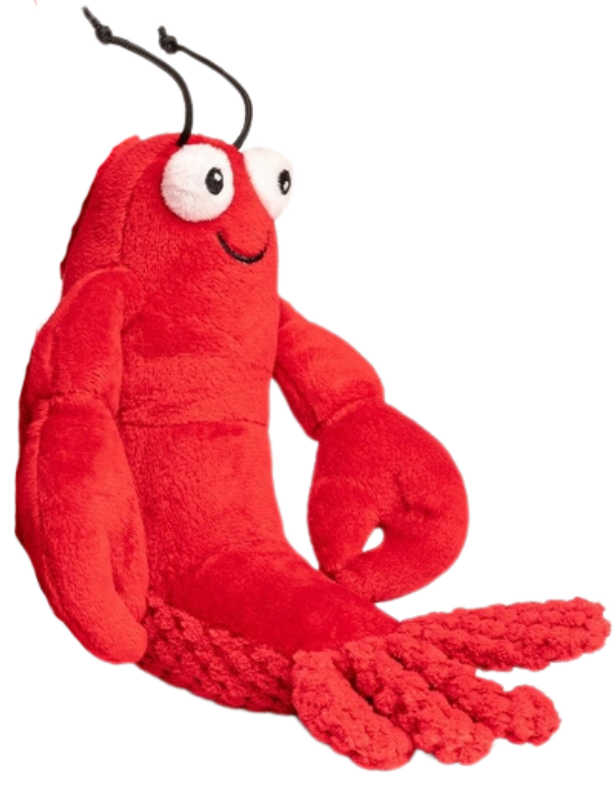 Food Themed Squeaky Toys