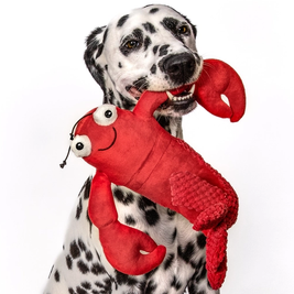 Food Themed Squeaky Toys