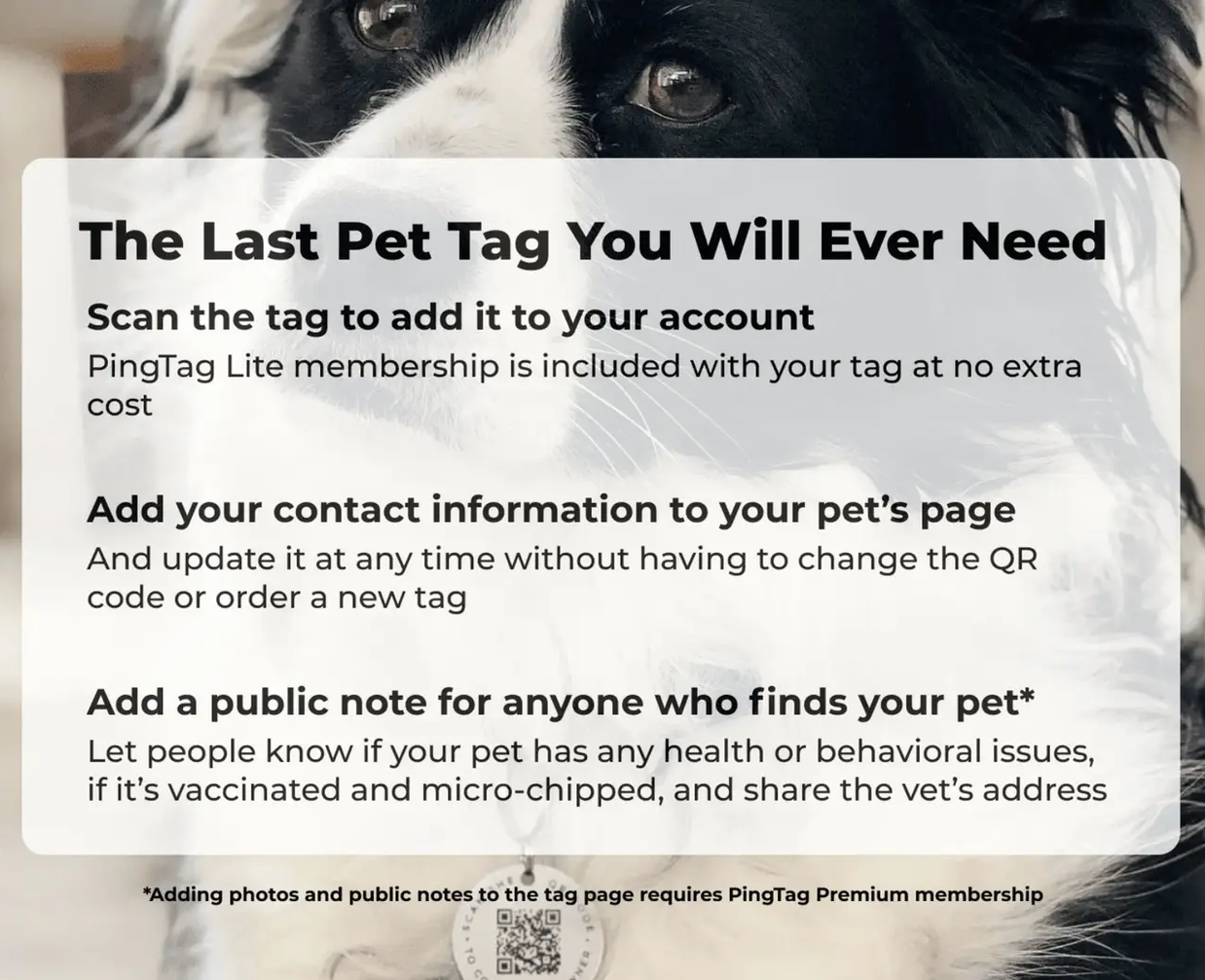 Engraved QR ID Tags
