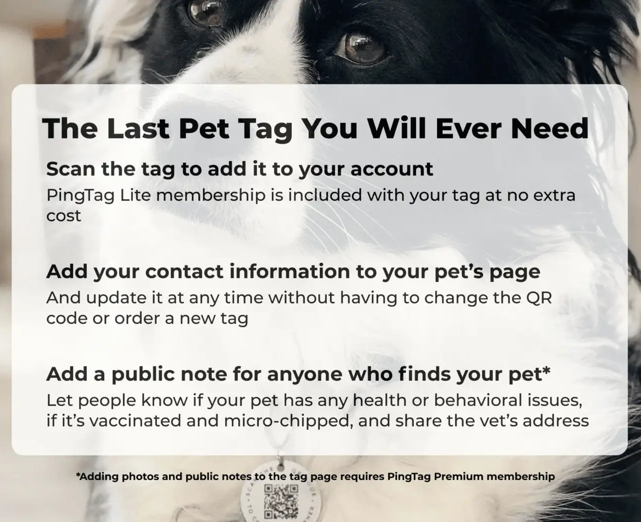 Engraved QR ID Tags