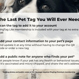 Engraved QR ID Tags