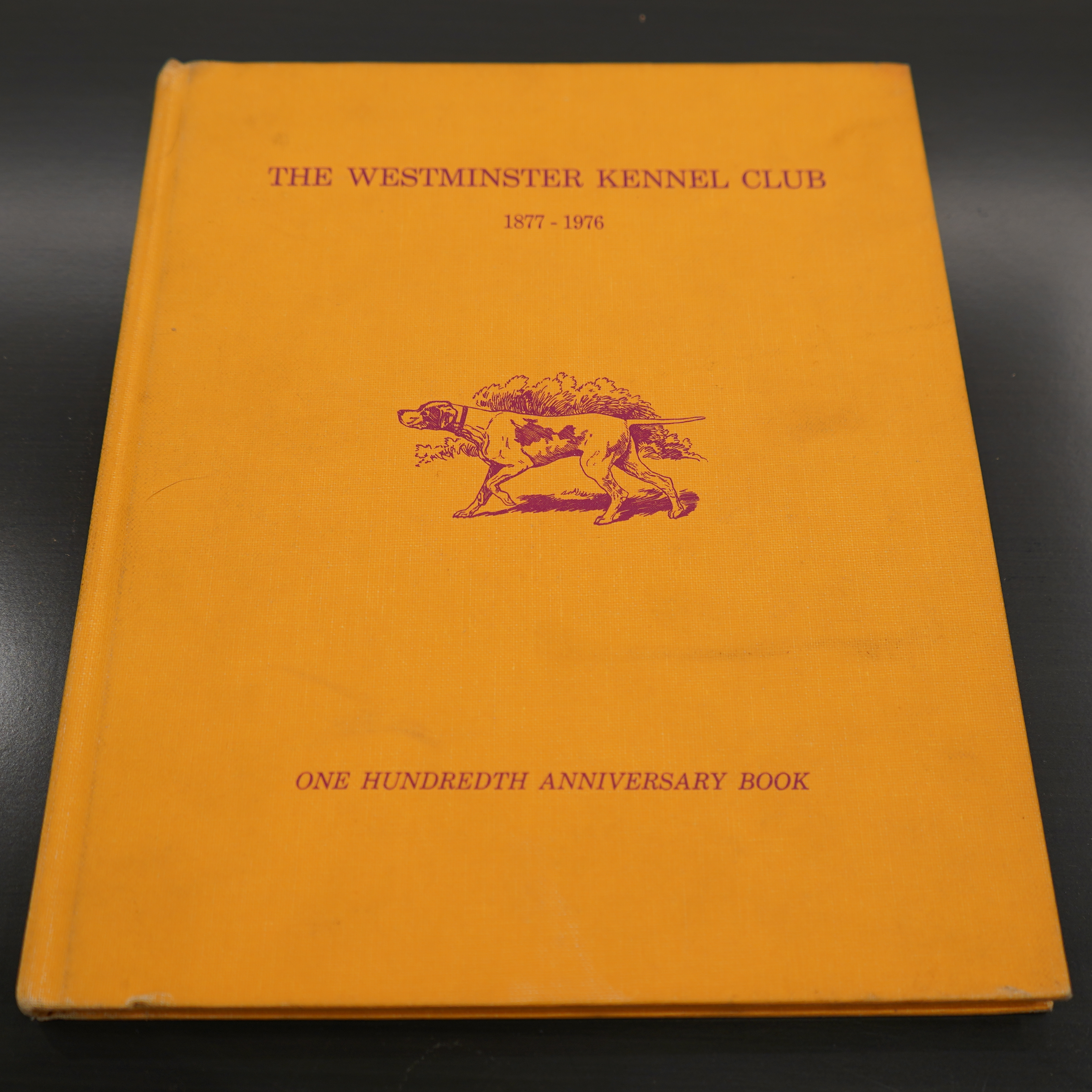 Archives Sale - $25 - $90 Books