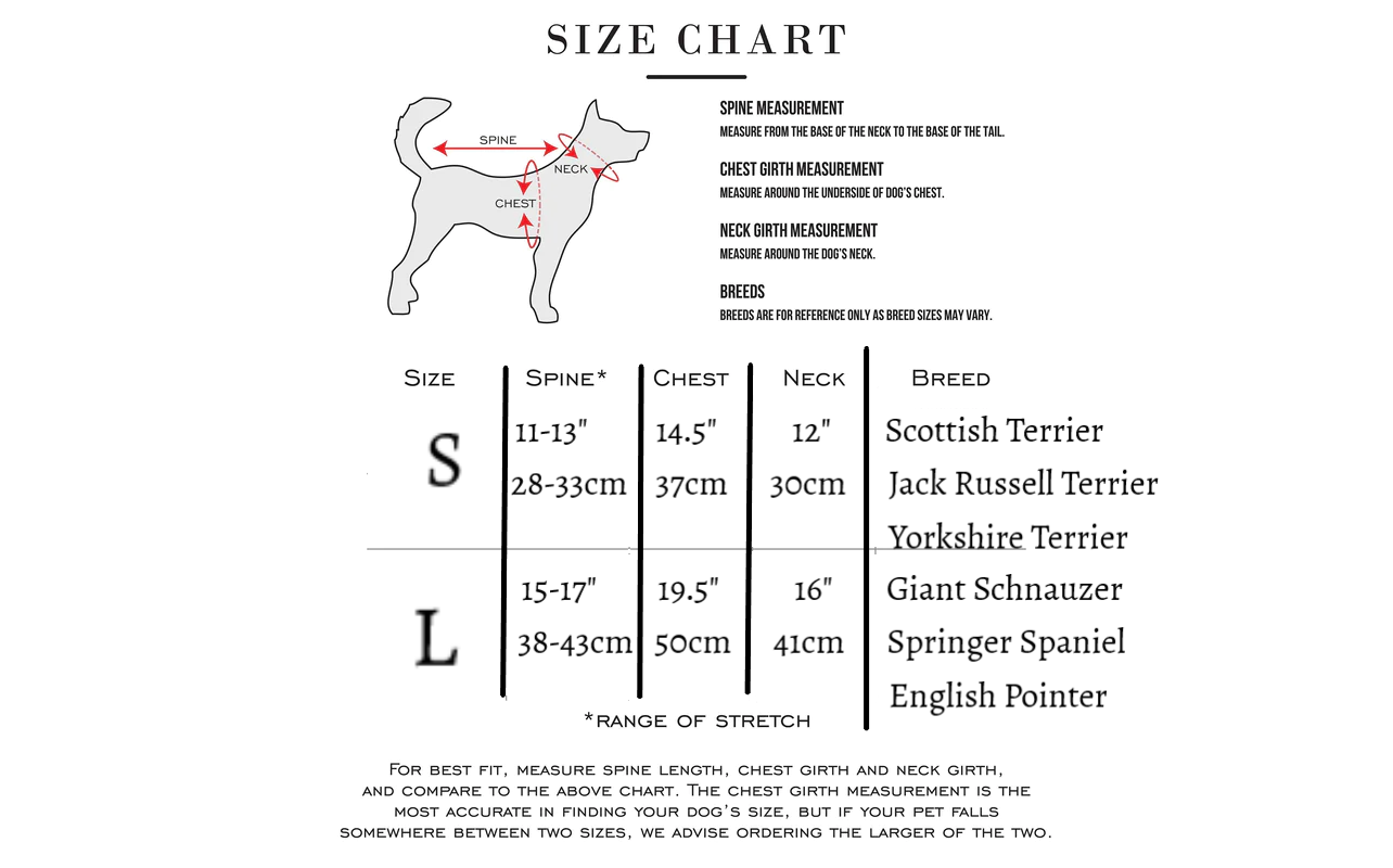 Holiday Scarves for Dogs