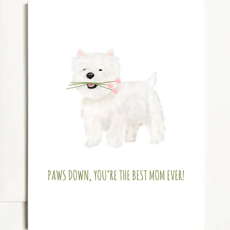 Watercolor Style Greeting Cards Made in the USA