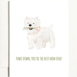 Watercolor Style Greeting Cards Made in the USA