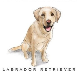 Breed Note Cards - Over 30 Breeds Offered!