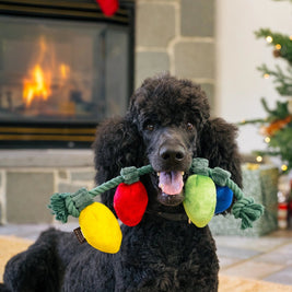 Christmas String Lights Dog Toy