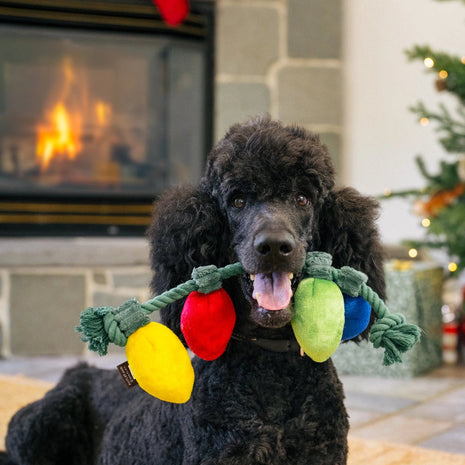 Christmas String Lights Dog Toy