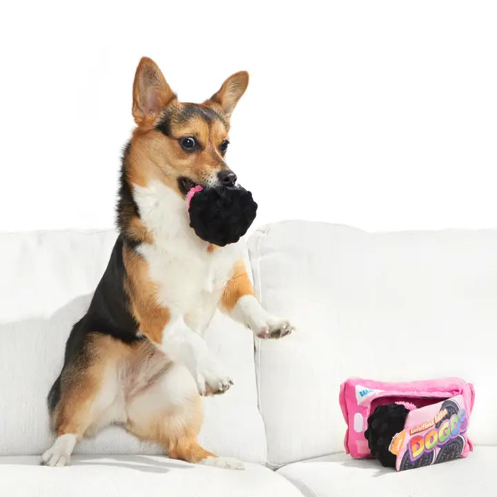 Cheeky Squeaky Dog Toys