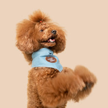 Load image into Gallery viewer, Dog Merit Badges
