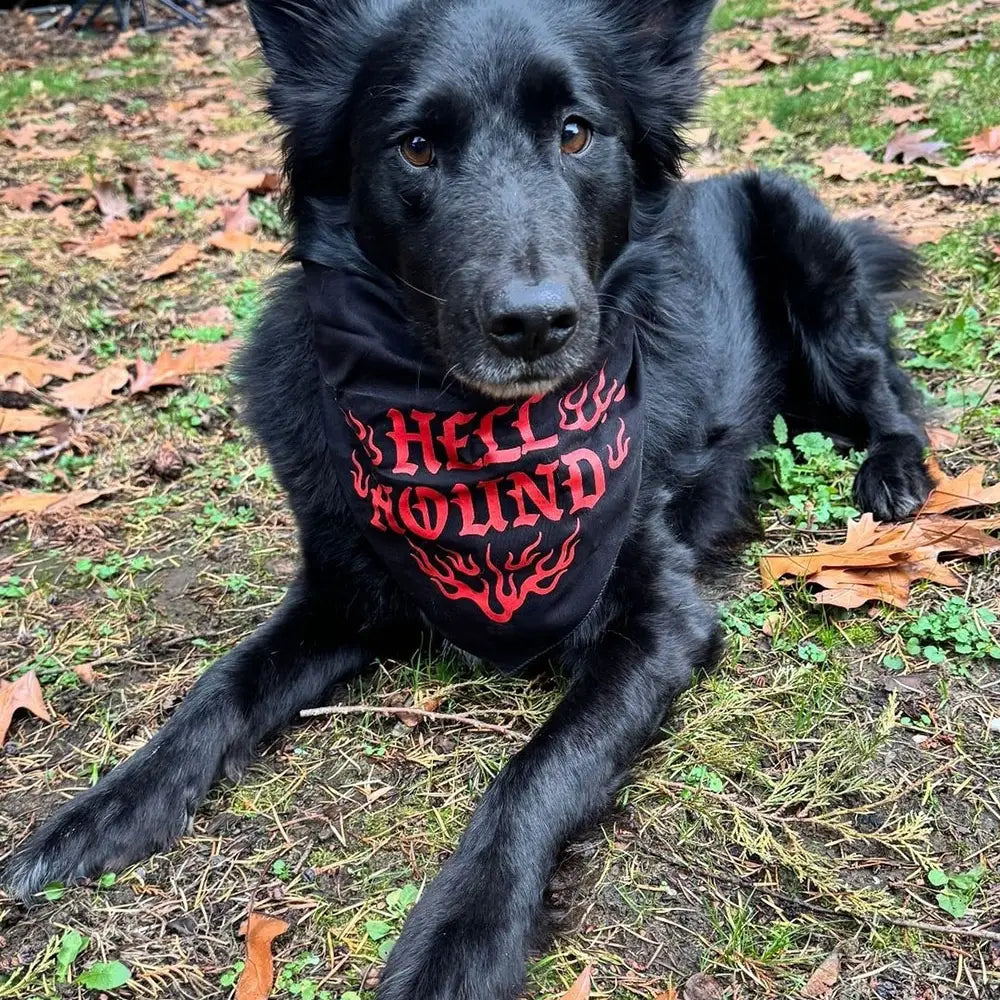 Gothic Pet Bandanas