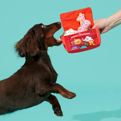 Cheeky Squeaky Dog Toys