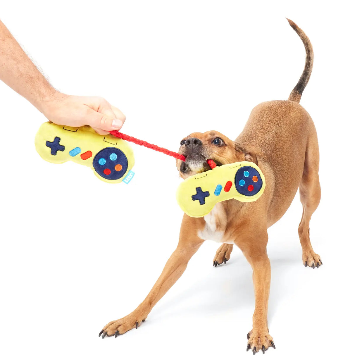 Retro Pop Culture Inspired Dog Toys