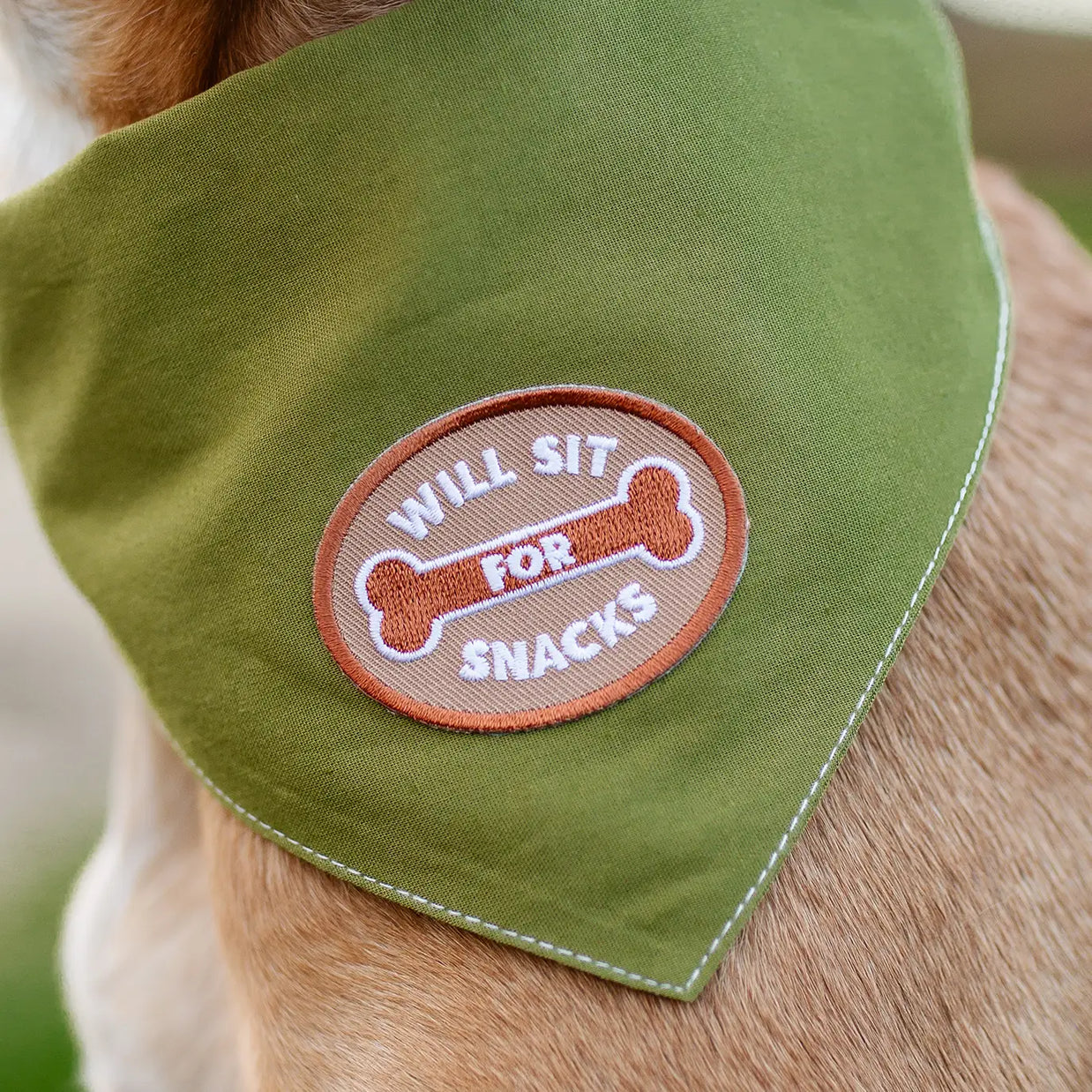 Dog Merit Badges