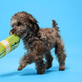 Cheeky Squeaky Dog Toys