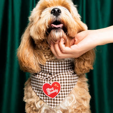 Load image into Gallery viewer, Dog Merit Badges

