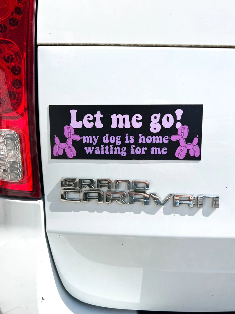 Dog Themed Bumper Magnets