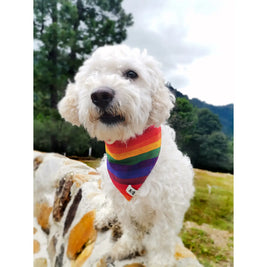 Handwoven & Fair-Trade Dog Bandanas