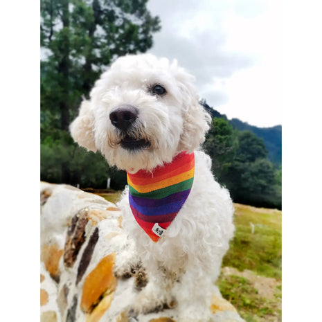 Handwoven & Fair-Trade Dog Bandanas