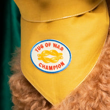 Load image into Gallery viewer, Dog Merit Badges
