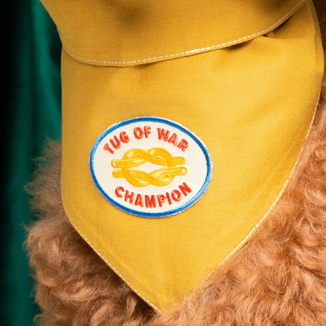 Dog Merit Badges