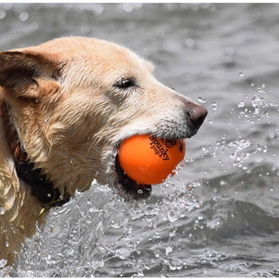 Fetch and Glow Balls