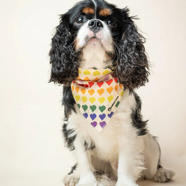 Matching Dog Bandana and Human Hair Accessories