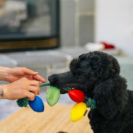 Christmas String Lights Dog Toy