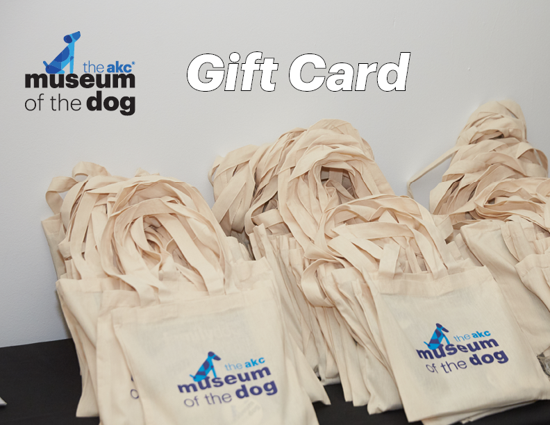 Museum Shop Gift Card