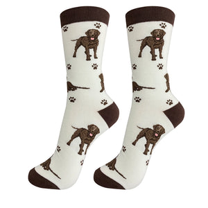 Chocolate Labrador Socks