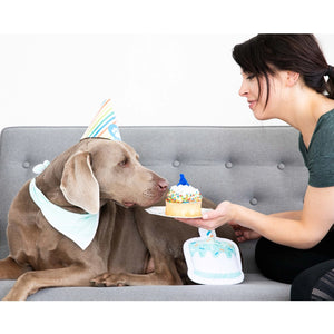 Pet Birthday Party Kit