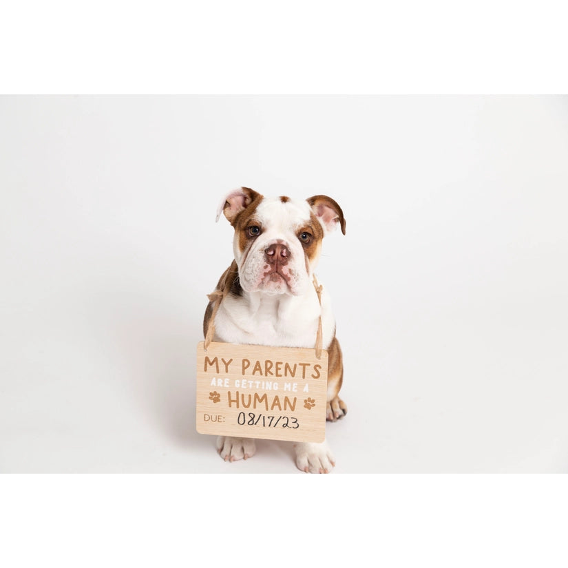 Wooden Pet Announcement Signs