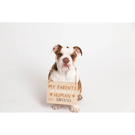 Wooden Pet Announcement Signs