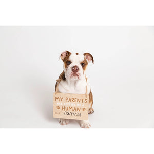 Wooden Pet Announcement Signs from Pearhead