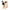 Pug Plushies by Douglas Cuddle Toys