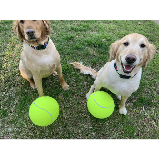 Jumbo Tennis Ball