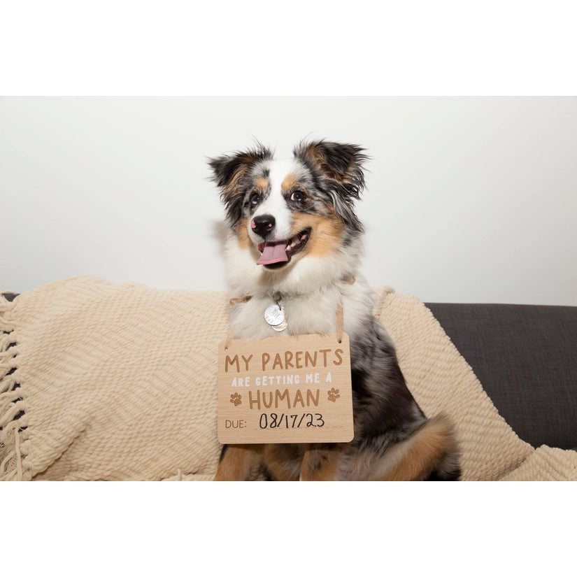 Wooden Pet Announcement Signs