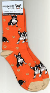 Boston Terrier Socks
