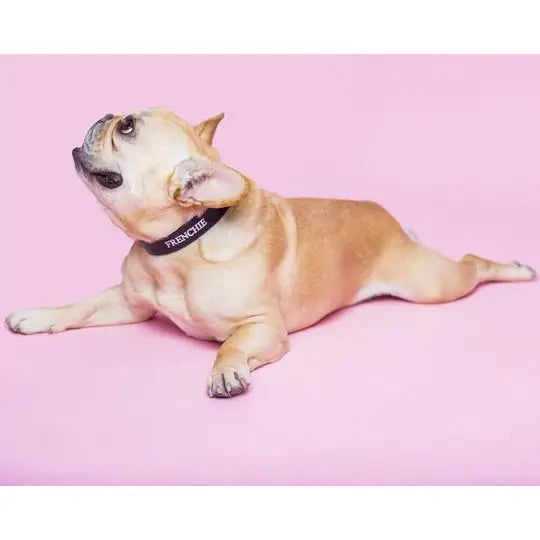Frenchie Collar by Finn + Me