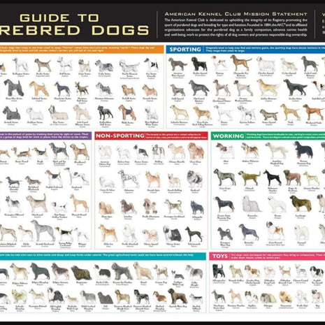 AKC Breeds Poster