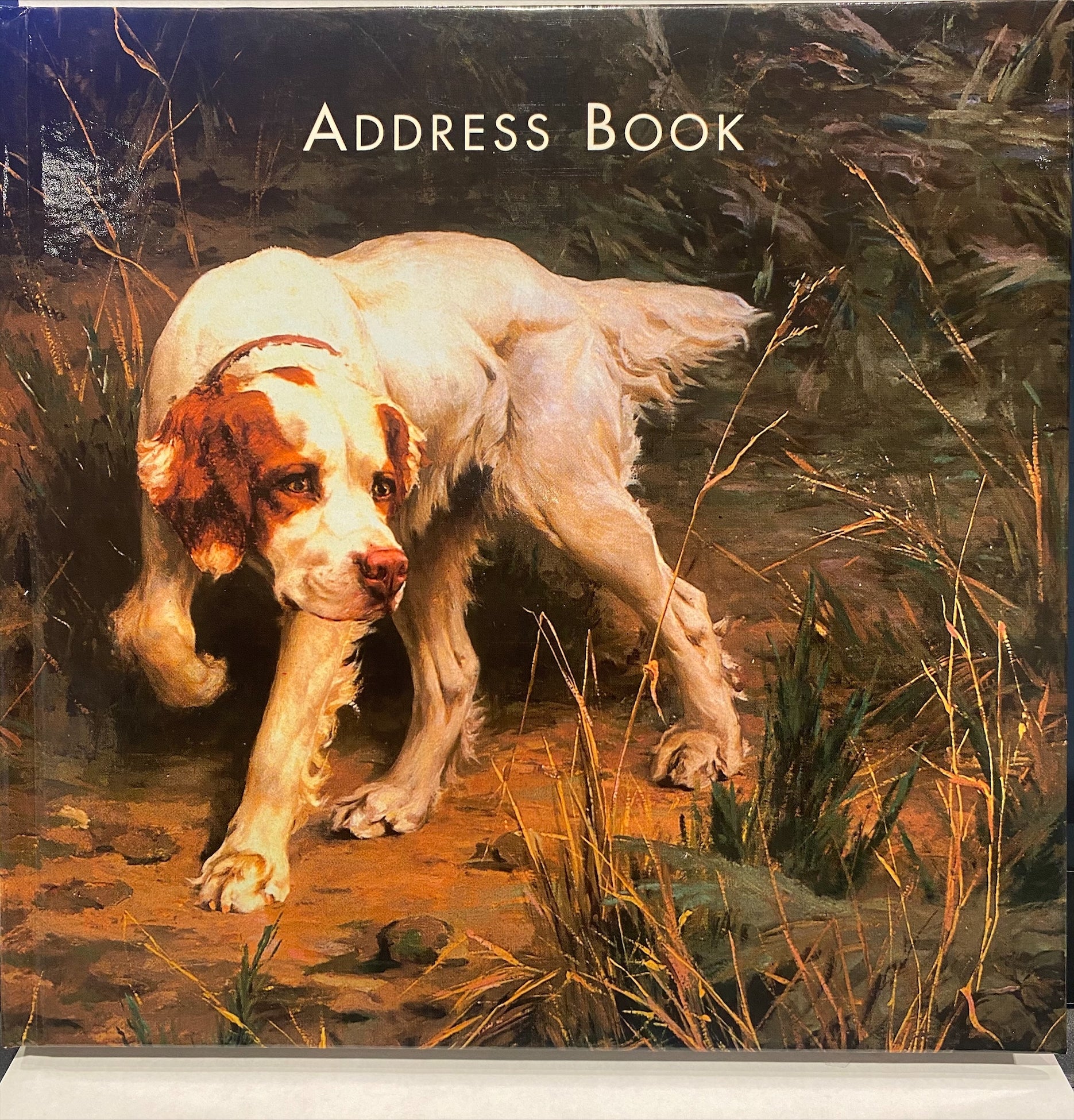 Address Books (Various Sizes and Eras)