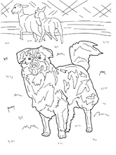 Load image into Gallery viewer, Dogs Educational Coloring Book by Che Frausto

