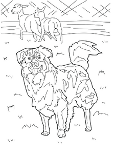 Dogs Educational Coloring Book by Che Frausto