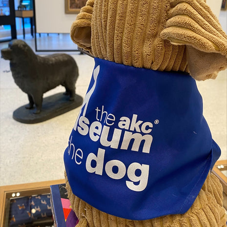 Museum Branded Bandanas for Your Dogs!