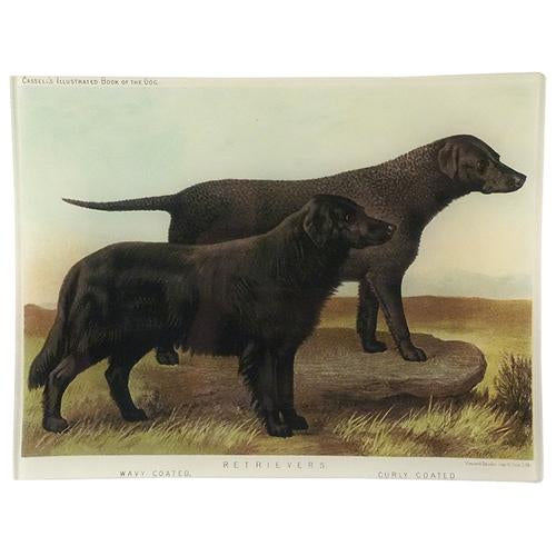 Black Retriever Rectangular Tray