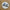 Museum of the Dog Pinback Buttons