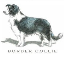 Load image into Gallery viewer, Breed Note Cards by Fable &amp; Sage (Over 20 breeds offered!)
