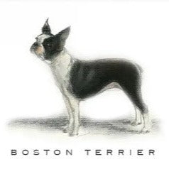 Breed Note Cards - Over 30 Breeds Offered!