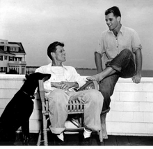 Load image into Gallery viewer, The Dogs of Camelot: Stories of the Kennedy Canines
